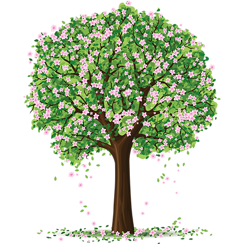 Cheap Sprout Bower Store